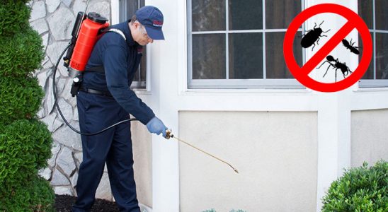 Uzunköprü Böcek İlaçlama böcek ilaçlama ve haşere kontrolü — ilaclama-tr.com